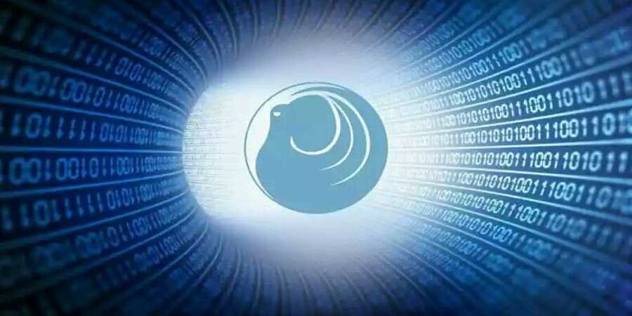 Yerli Siber Güvenlik Sistemi Ahtapot Tüm Testleri Başarıyla Geçti