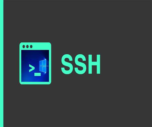 Windows İşletim Sistemi Üzerinden Linux Sunucuya SSH Bağlantısı