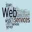 Web  Servisleri